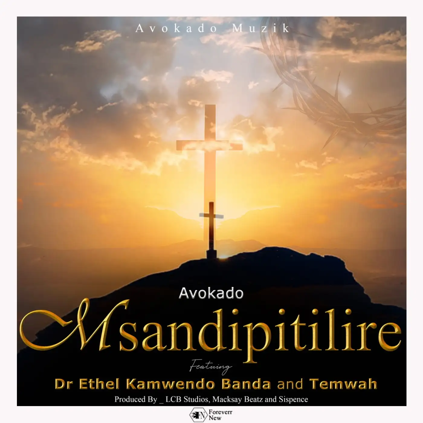 avokado-msandipitilire-ft-dr-ethel-kamwendo-banda-temwah-mp3-download-Malawi Music Downloader