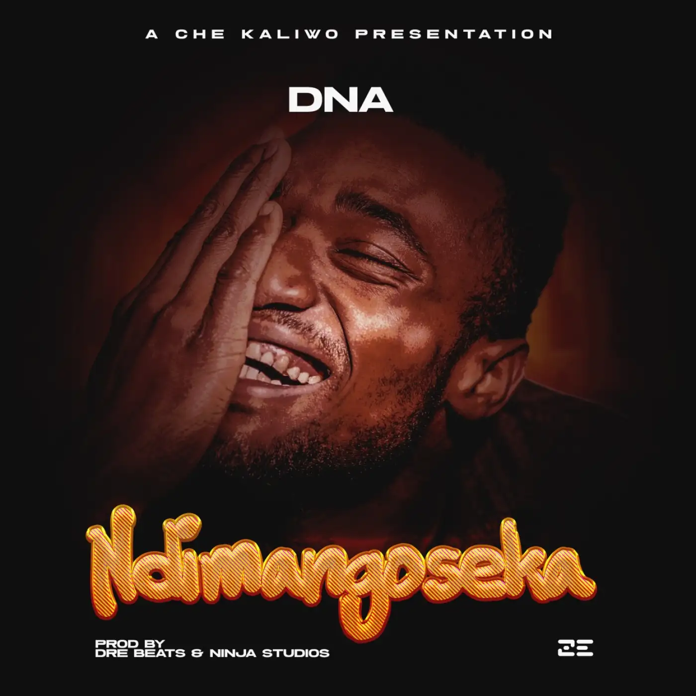 DNA-DNA - Ndimangoseka (Prod. Dre Beats & Ninja Studios)-song artwork cover