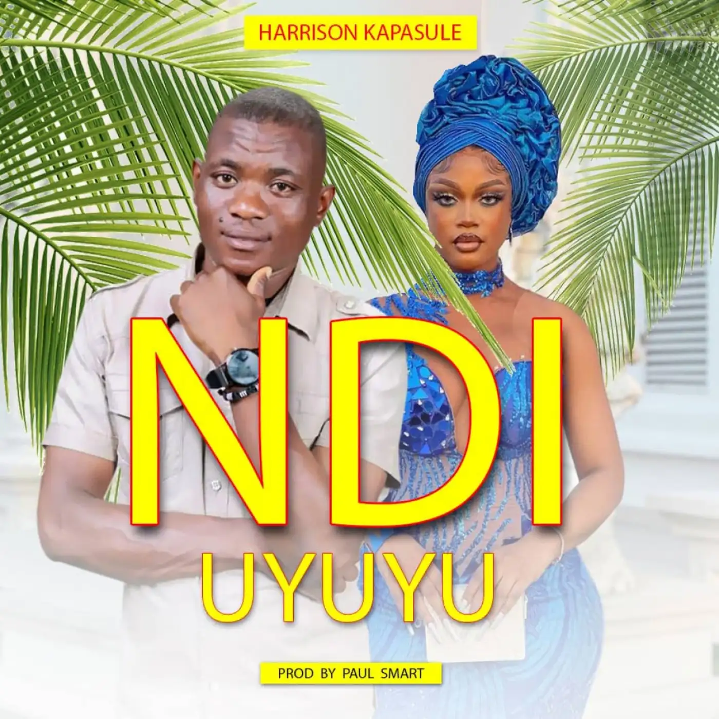 Harrison Kapasule-Harrison Kapasule - Ndi Uyuyu (Prod. Paul Smart)-song artwork cover