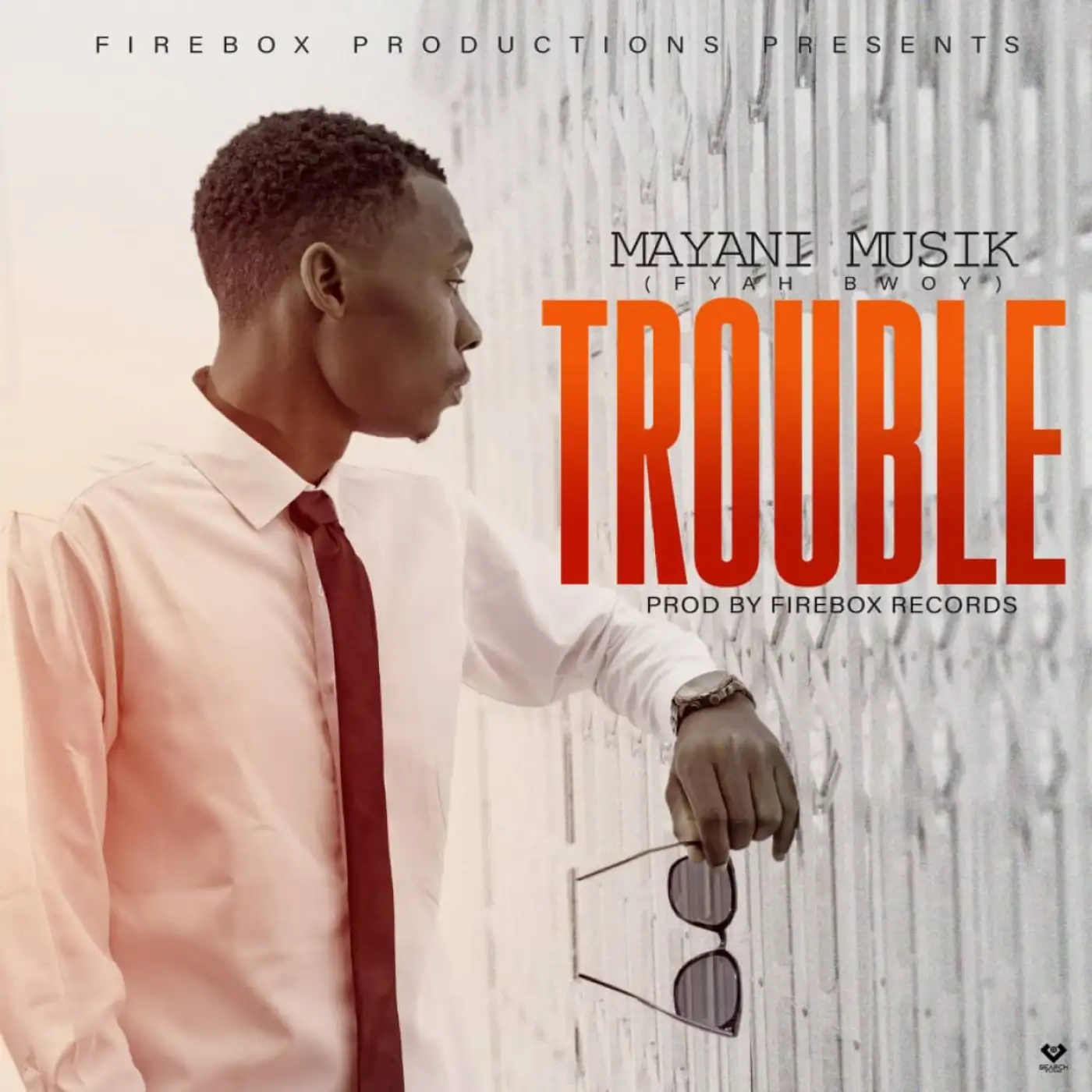 Mayani Musik-Mayani Musik - Trouble-song artwork cover