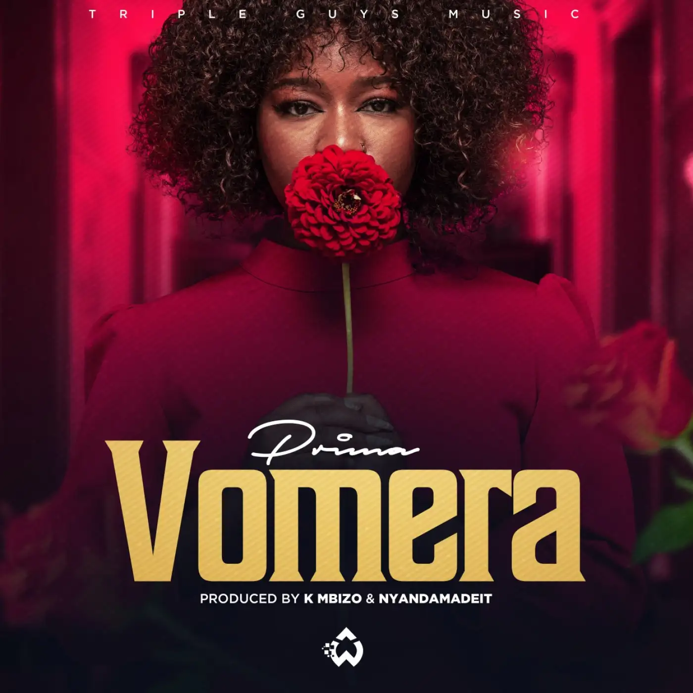 prima-vomera-prod-k-mbizo-nyanda-made-it-mp3-download-mp3 download