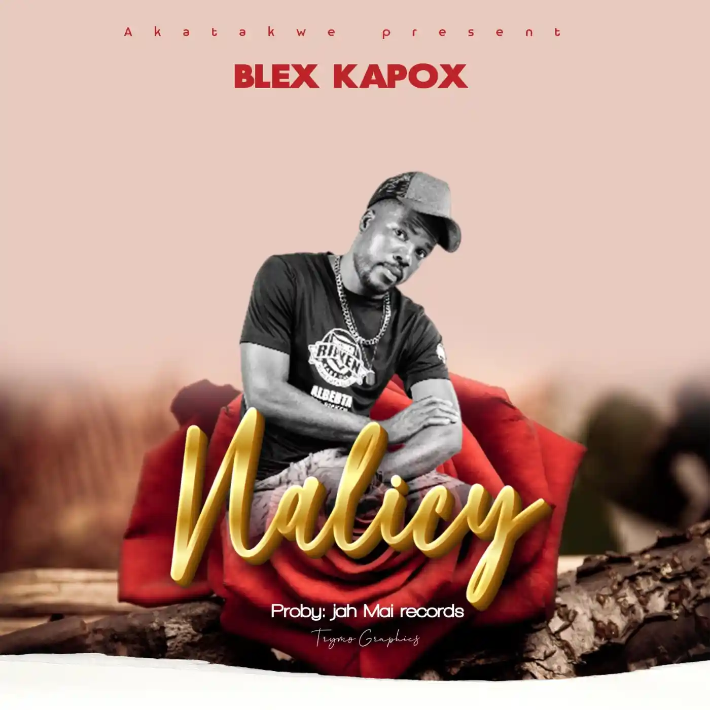 title-nalicy-mp3-download-mp3 download