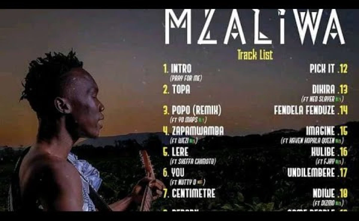 Driemo - Mzaliwa Full Album (All songs From Mzaliwa album)-Malawi Music Downloader